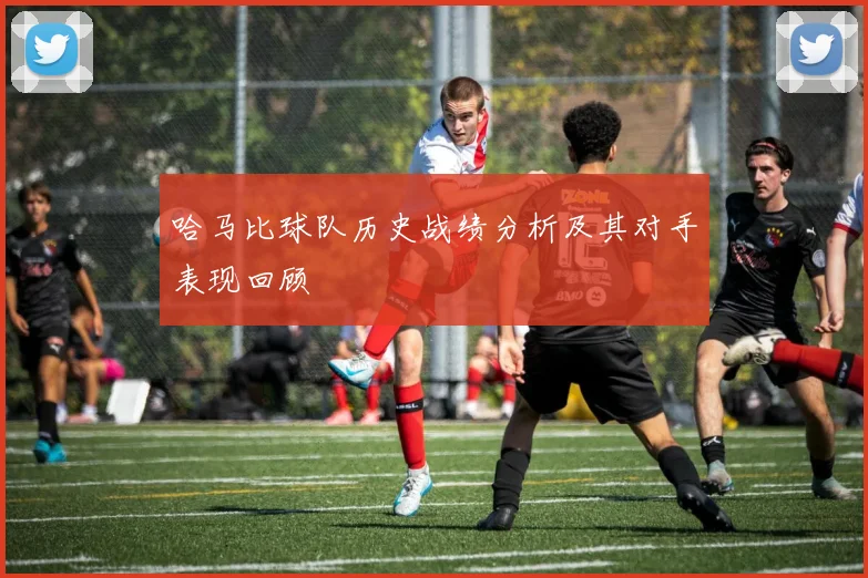 哈马比球队历史战绩分析及其对手表现回顾