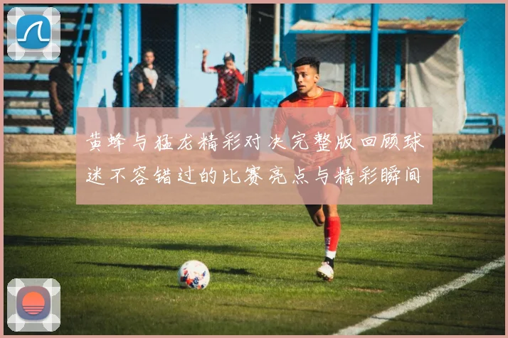 黄蜂与猛龙精彩对决完整版回顾球迷不容错过的比赛亮点与精彩瞬间