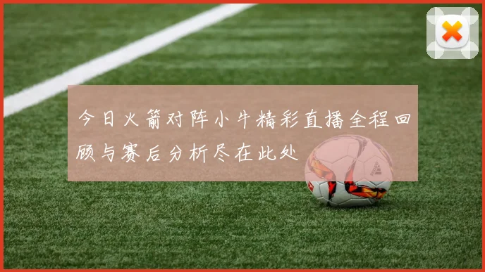 今日火箭对阵小牛精彩直播全程回顾与赛后分析尽在此处