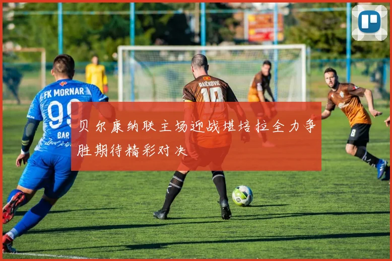 贝尔康纳联主场迎战堪培拉全力争胜期待精彩对决
