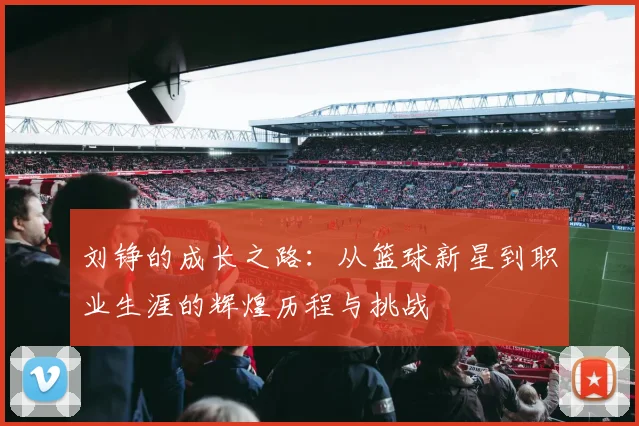 刘铮的成长之路：从篮球新星到职业生涯的辉煌历程与挑战