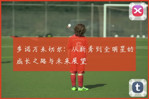 多诺万米切尔：从新秀到全明星的成长之路与未来展望