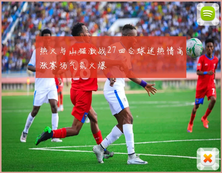 热火与山猫激战27回合球迷热情高涨赛场气氛火爆