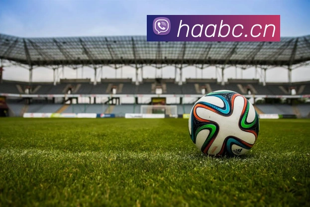 k1体育APP 封面图